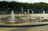 IMG_20200823_153312.jpg