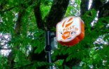 IMG_20200823_164727.jpg